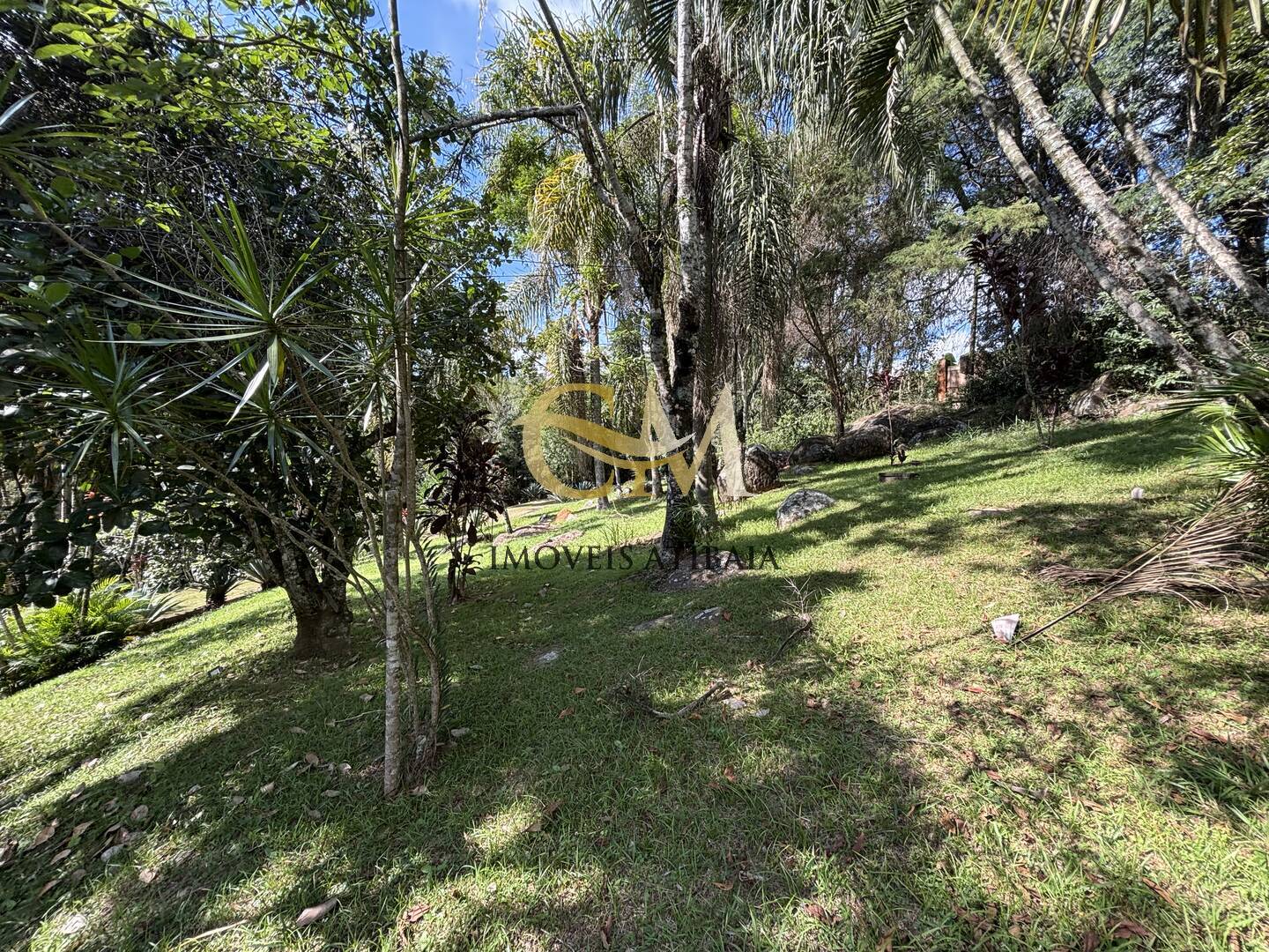Casa à venda com 3 quartos, 5000m² - Foto 38