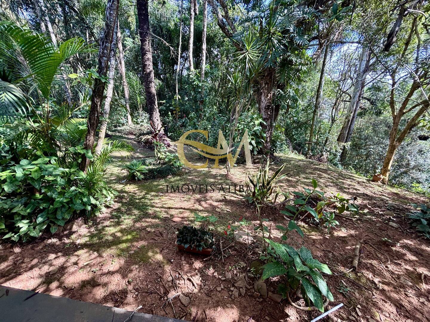 Casa à venda com 3 quartos, 5000m² - Foto 7