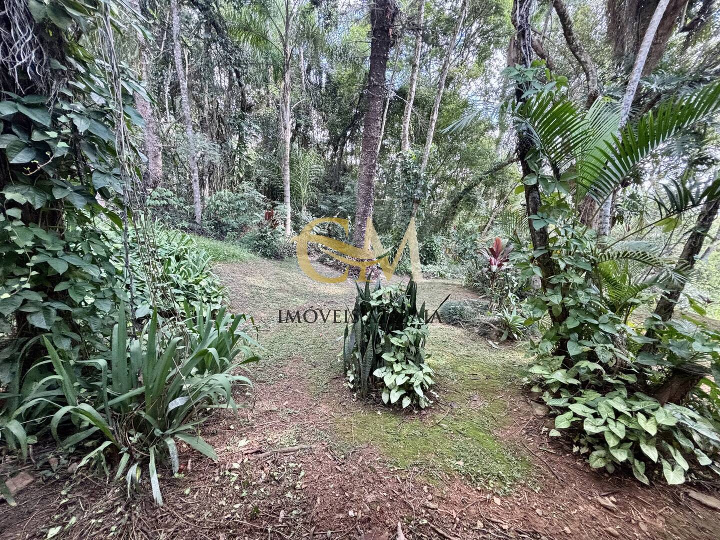 Casa à venda com 3 quartos, 5000m² - Foto 8