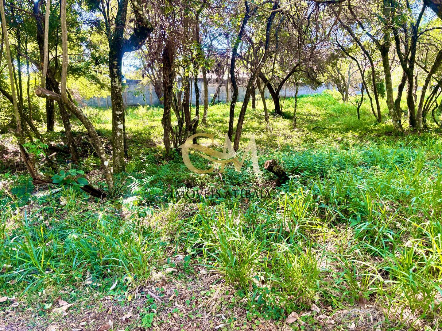Terreno à venda, 1680m² - Foto 1