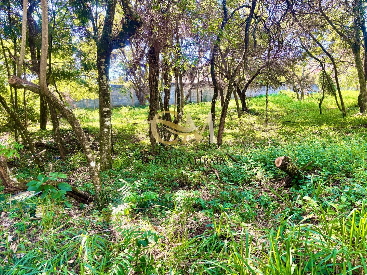 Terreno à venda, 1680m² - Foto 2