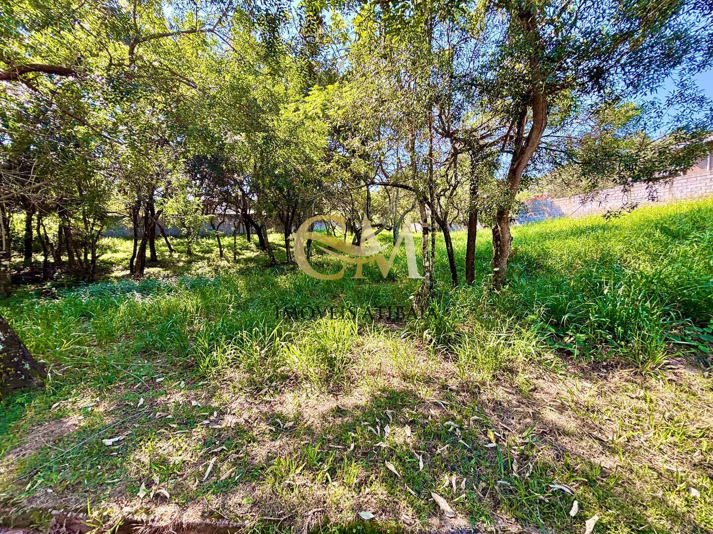 Terreno à venda, 1680m² - Foto 5