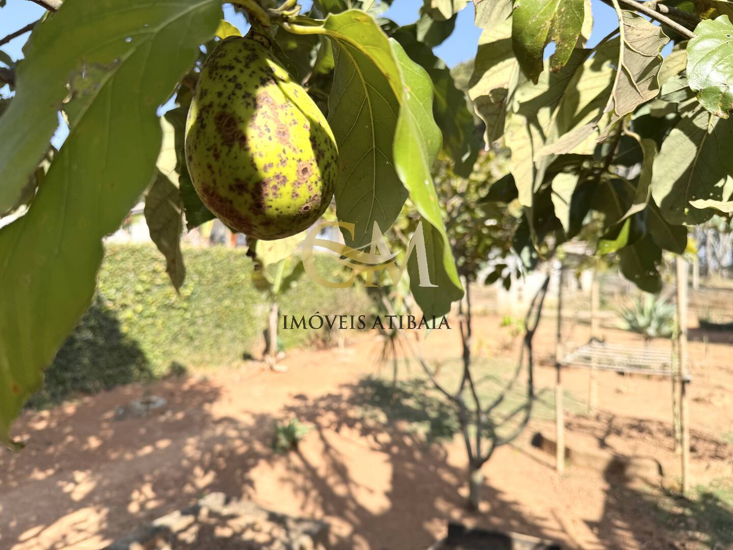 Casa, 2 quartos, 832 m² - Foto 31