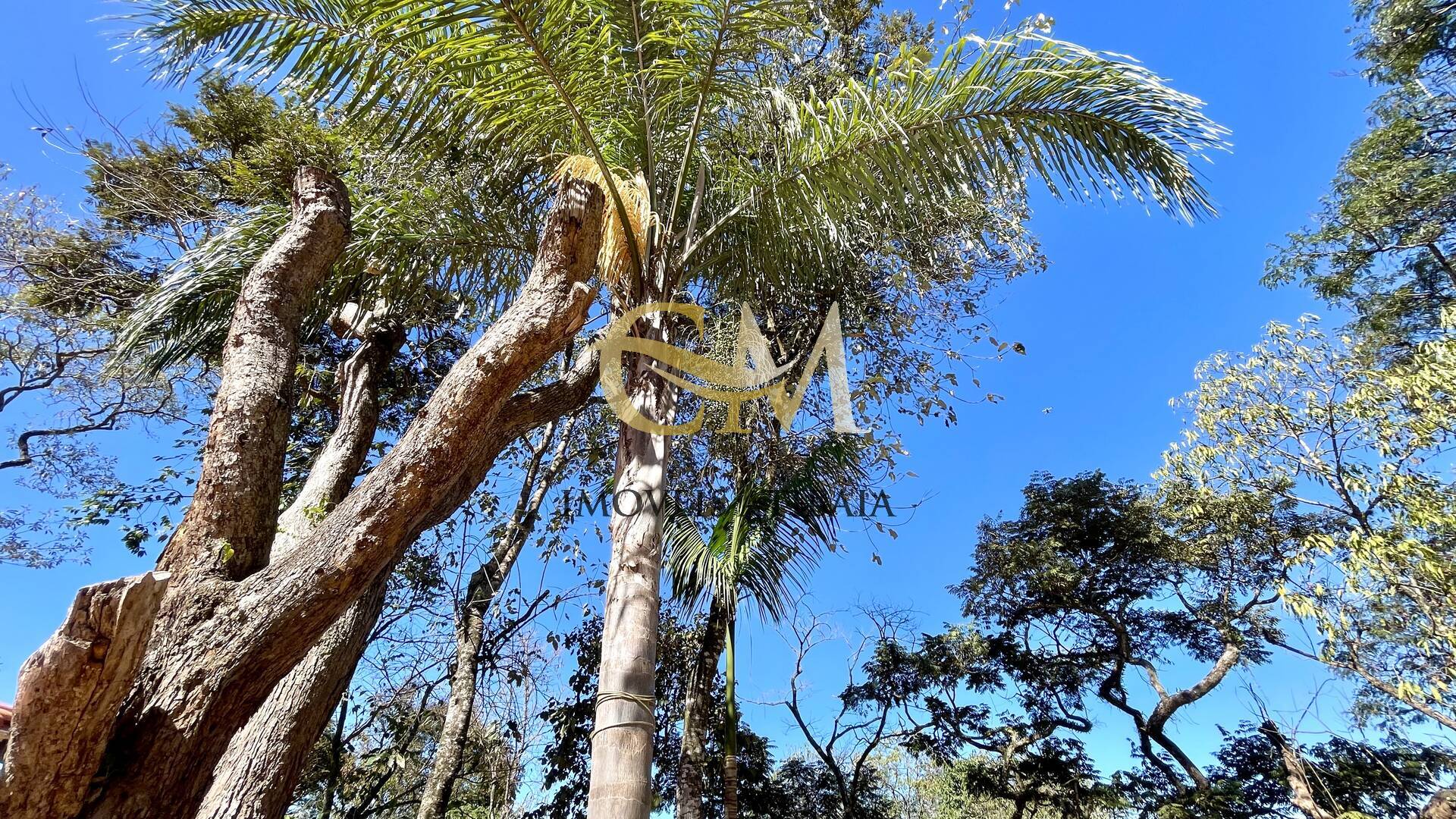 Casa, 4 quartos, 600 m² - Foto 28