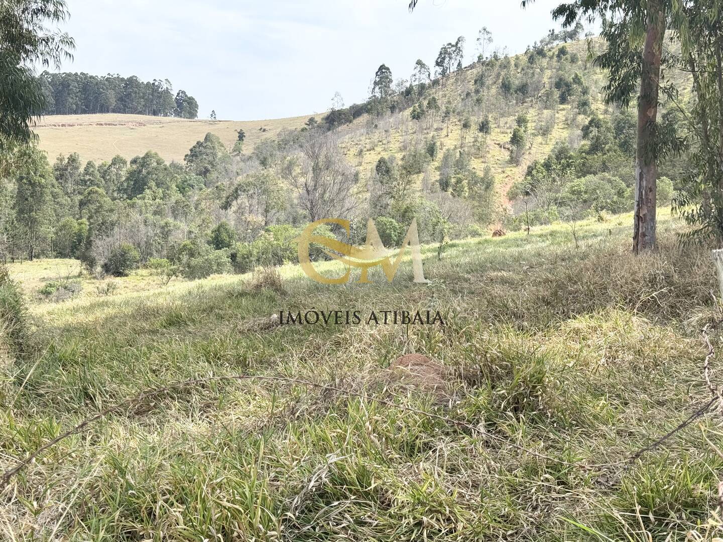 Terreno, 3 hectares - Foto 20