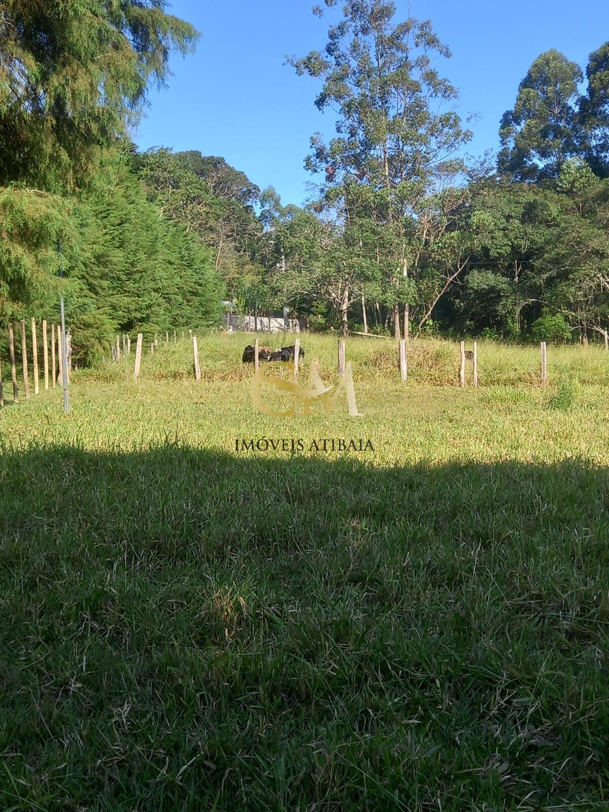 Casa, 5 quartos, 24000 m² - Foto 5