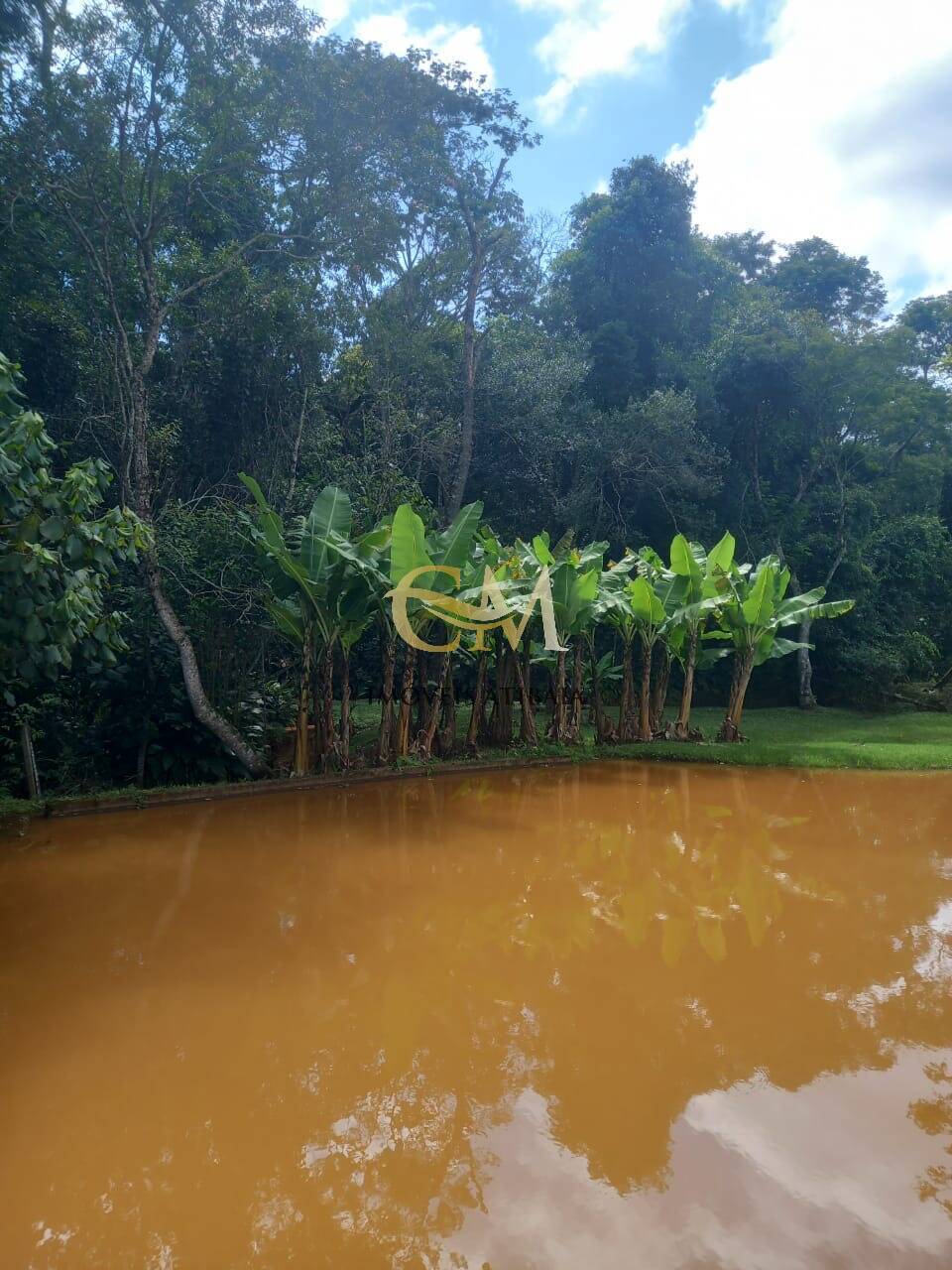 Sítio, 5 quartos, 2 hectares - Foto 11