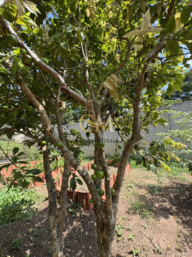 Casa, 2 quartos, 1000 m² - Foto 18