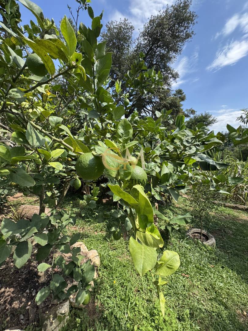 Casa, 2 quartos, 1000 m² - Foto 23