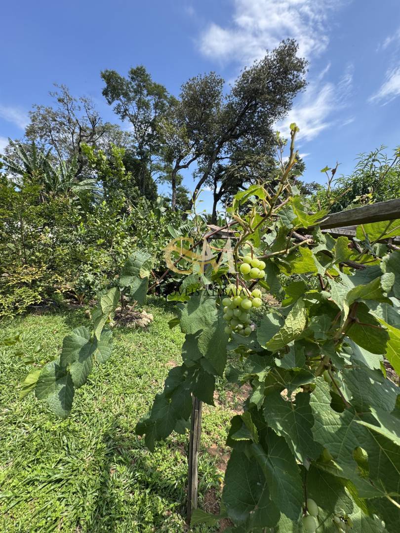 Casa, 2 quartos, 1000 m² - Foto 25