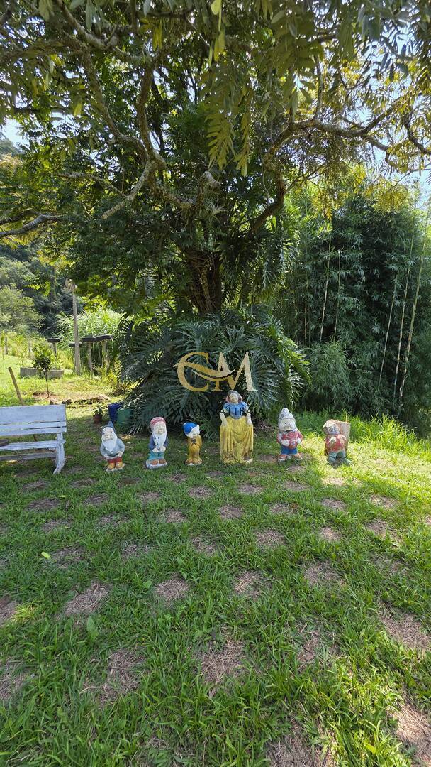 Sítio, 4 quartos, 17 hectares - Foto 11