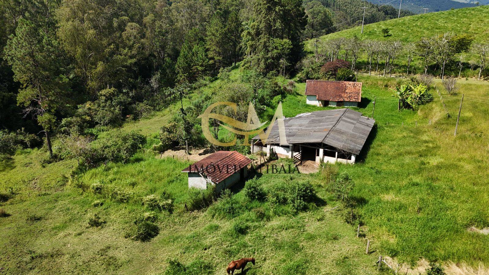 Sítio, 4 quartos, 17 hectares - Foto 47