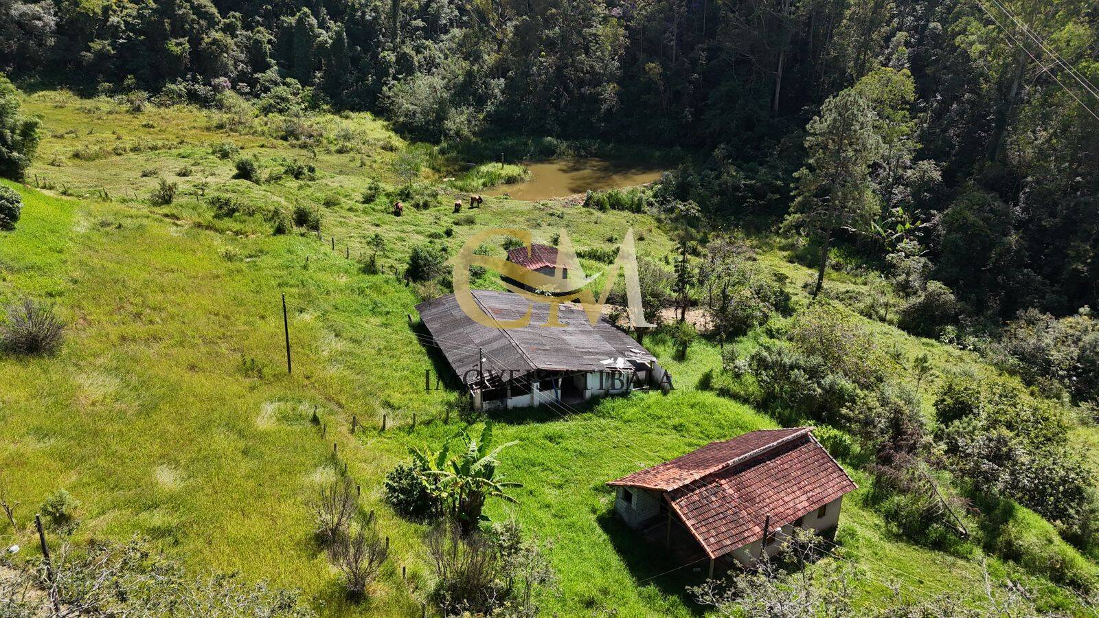 Sítio, 4 quartos, 17 hectares - Foto 49