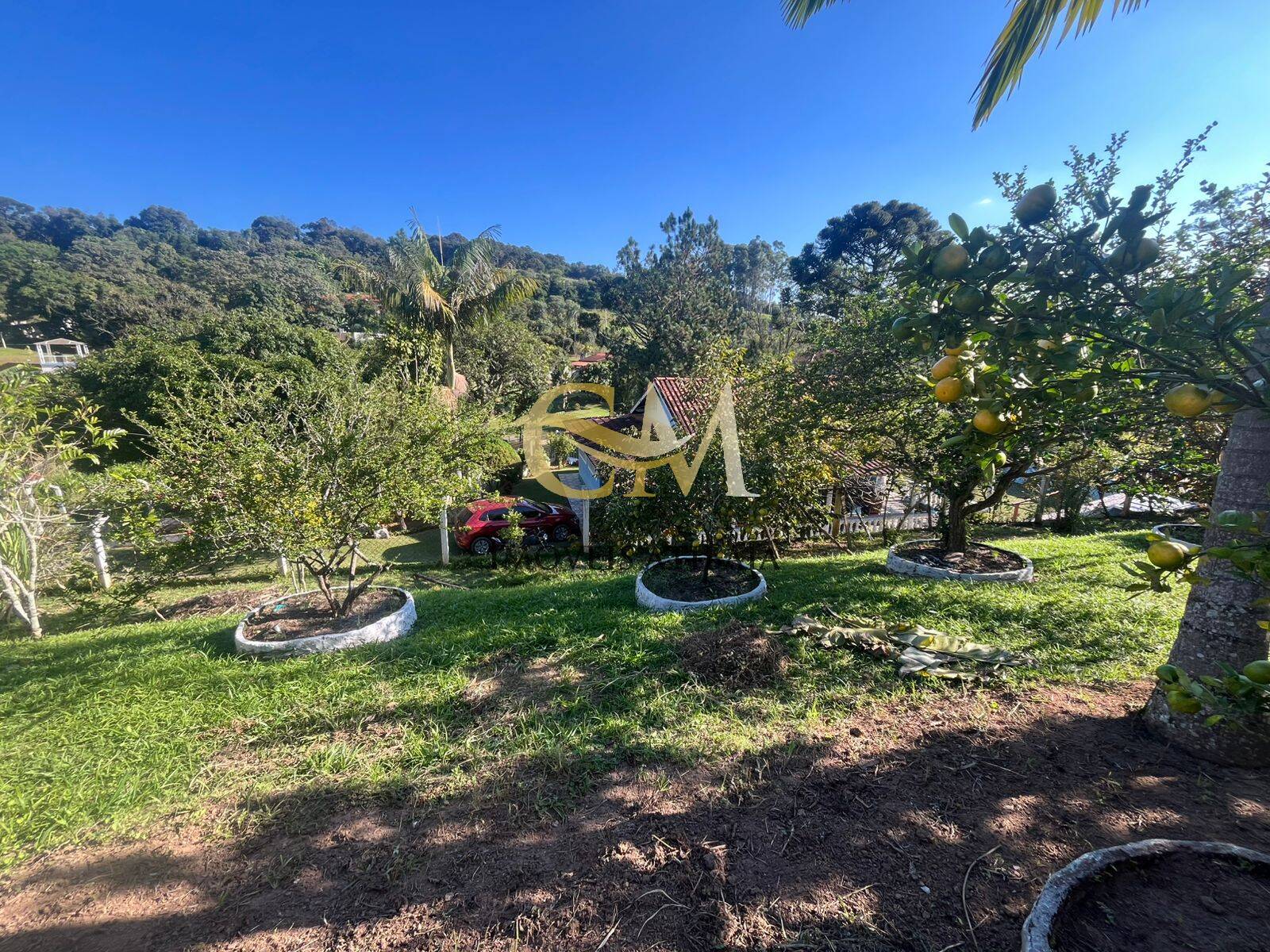 Casa, 3 quartos, 2500 m² - Foto 28