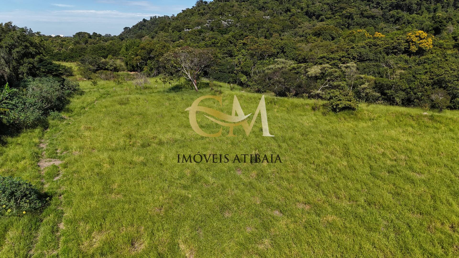 Terreno, 10000 m² - Foto 5