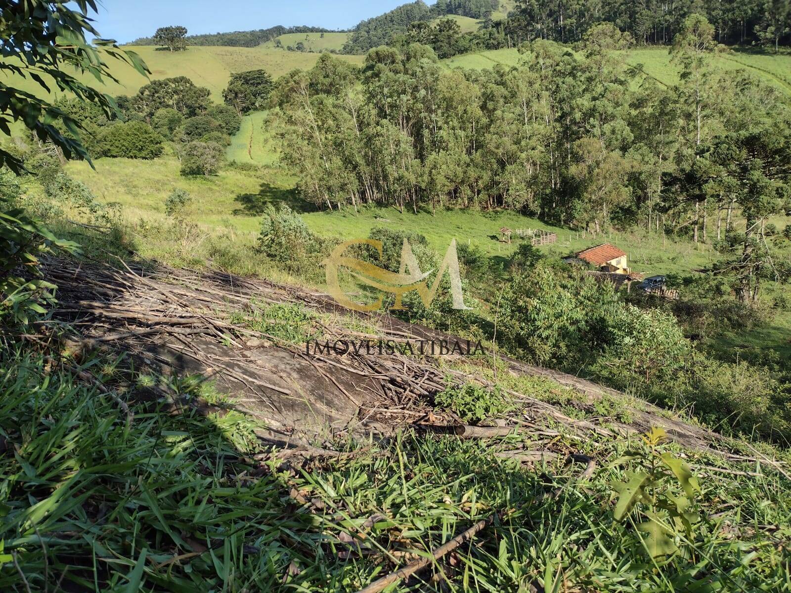 Terreno, 2 hectares - Foto 6