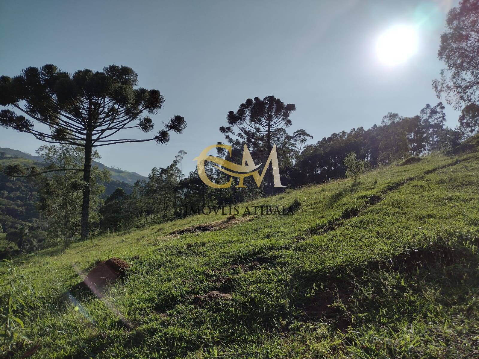 Terreno, 2 hectares - Foto 7