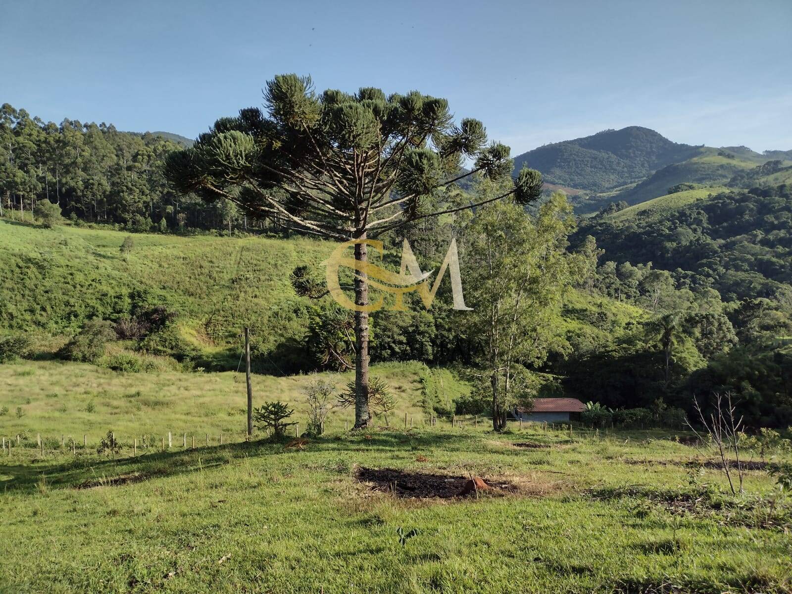 Terreno, 2 hectares - Foto 8